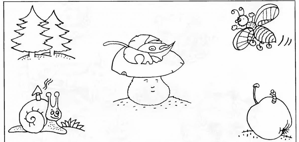 Charming coloring of inanimate nature