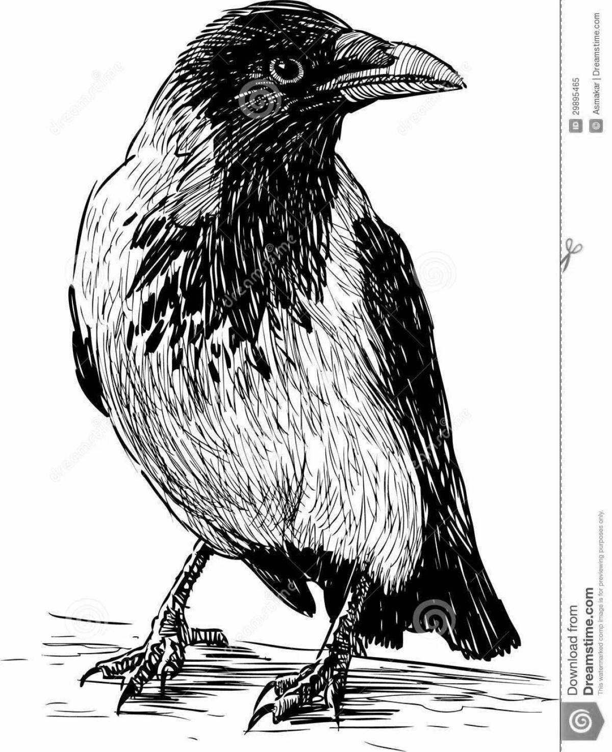 Coloring page gorgeous crow