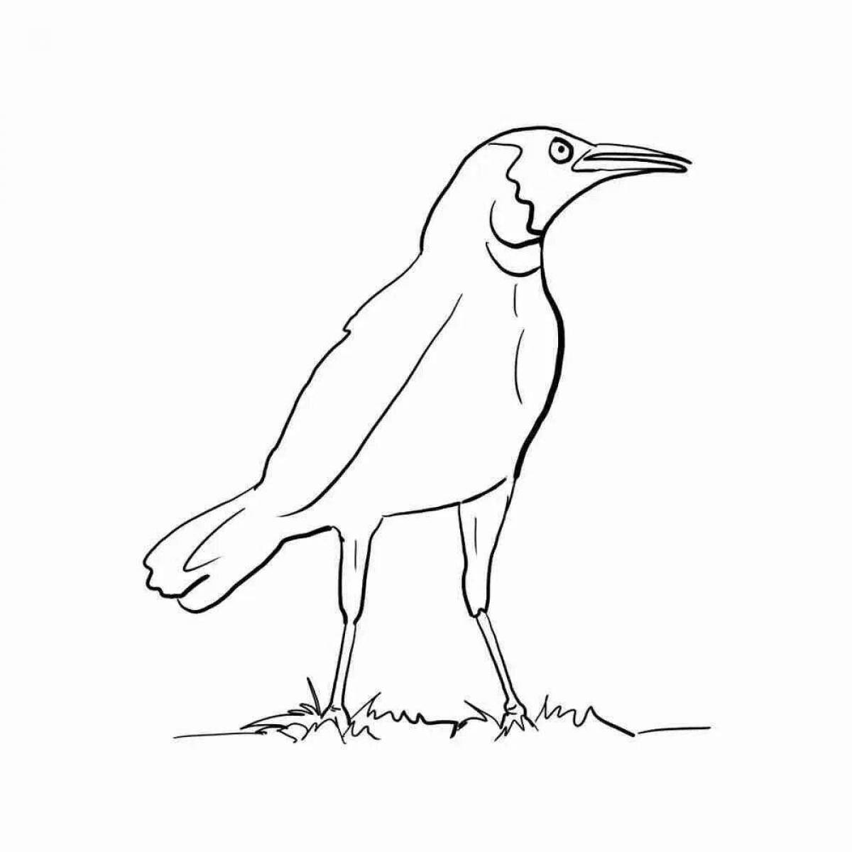 Drawing of a radiant crow