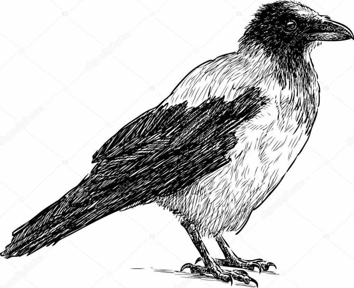 Awesome crow coloring page