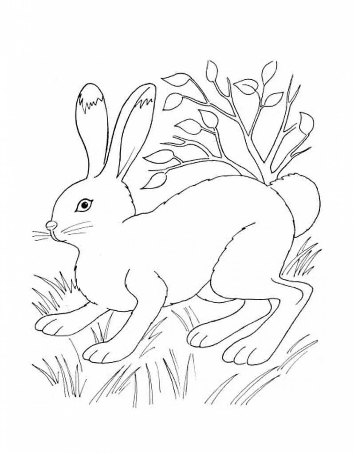 Рисунок лесной заяц