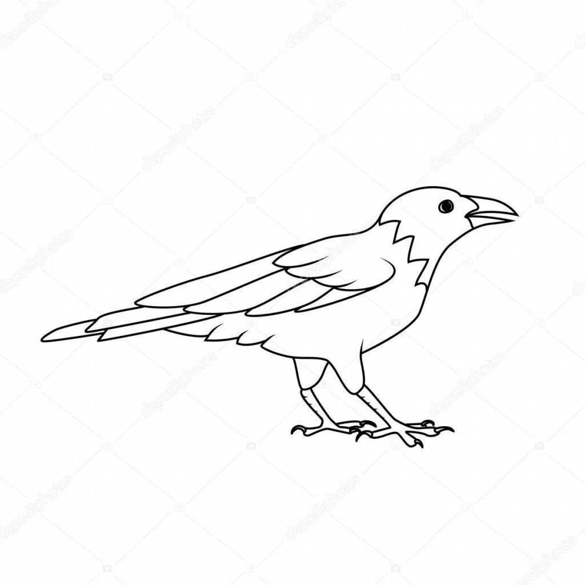 Coloring page dazzling crow