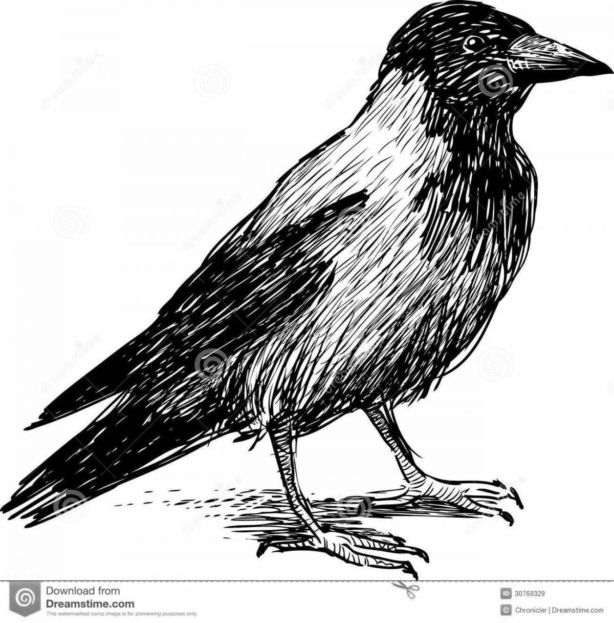 Coloring page beautiful crow