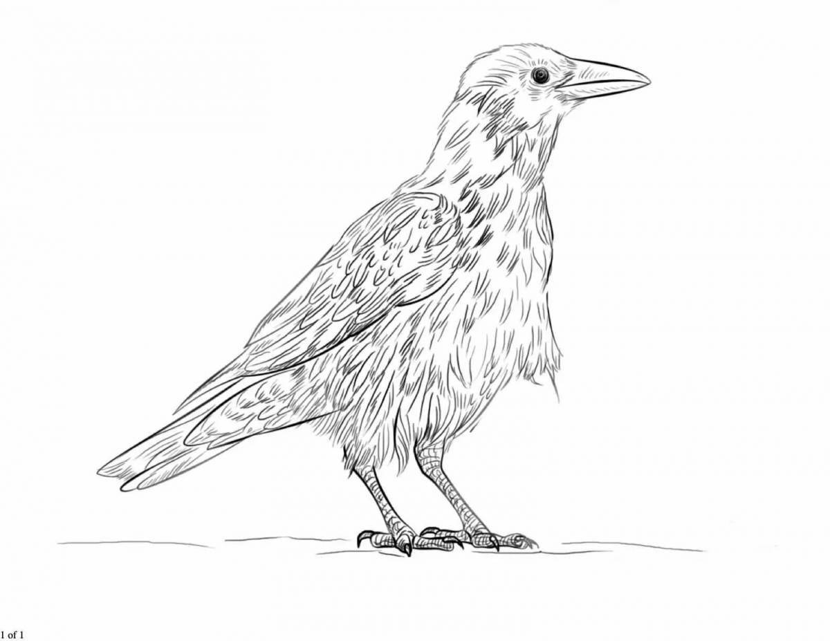 Colorful crow coloring page
