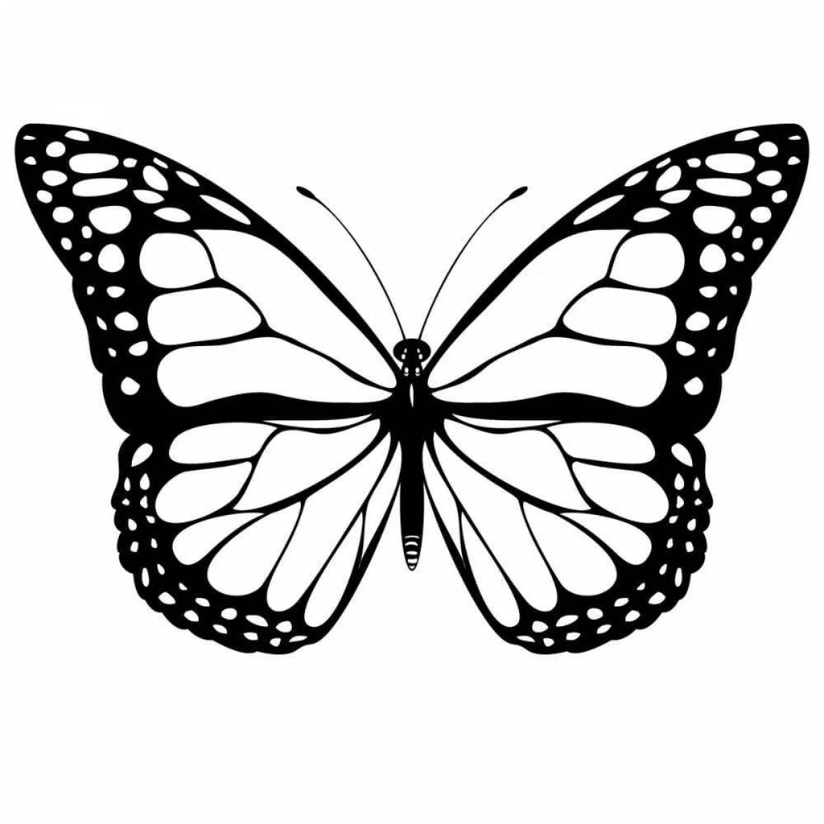 Coloring book with colorful butterfly stencil