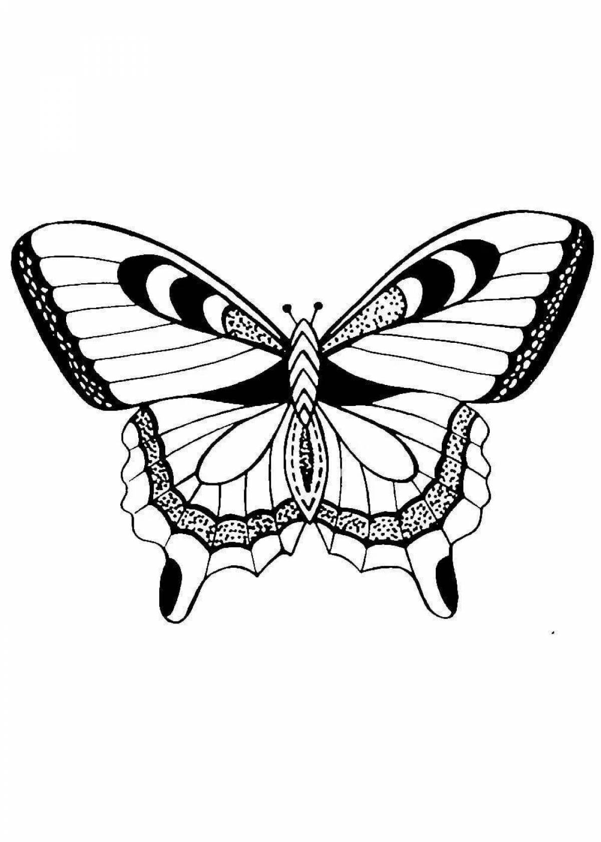Яркая трафаретная раскраска бабочки