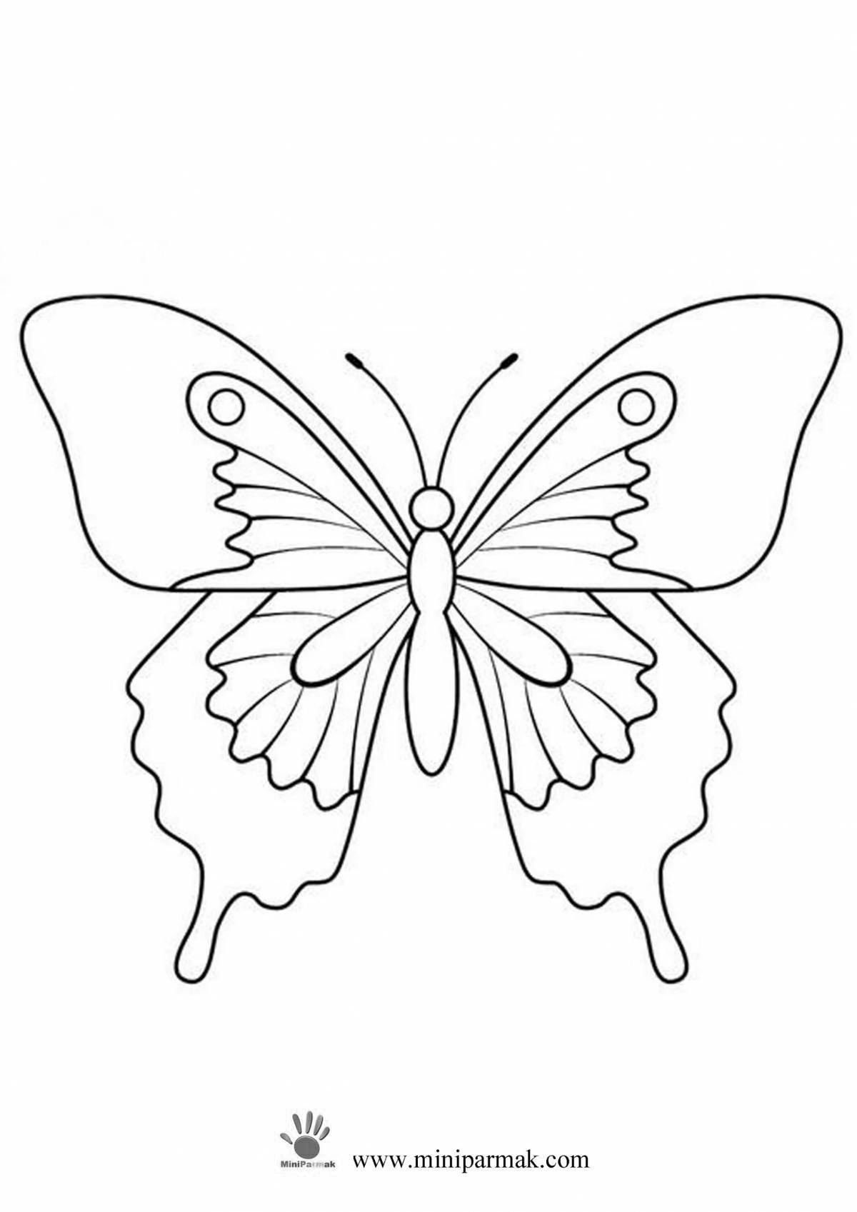 Очаровательная страница раскраски трафарета бабочки