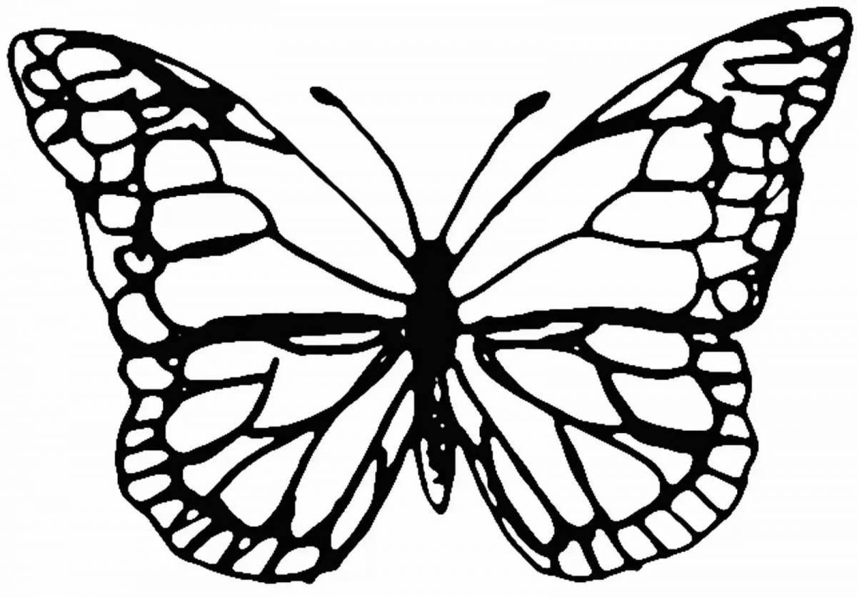 Изысканная страница раскраски трафарета бабочки