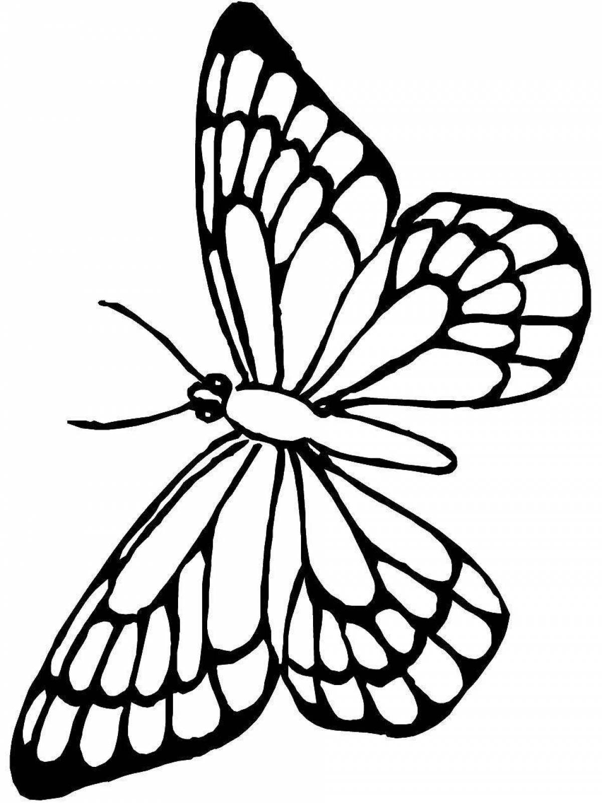 Буйная бабочка трафаретная раскраска