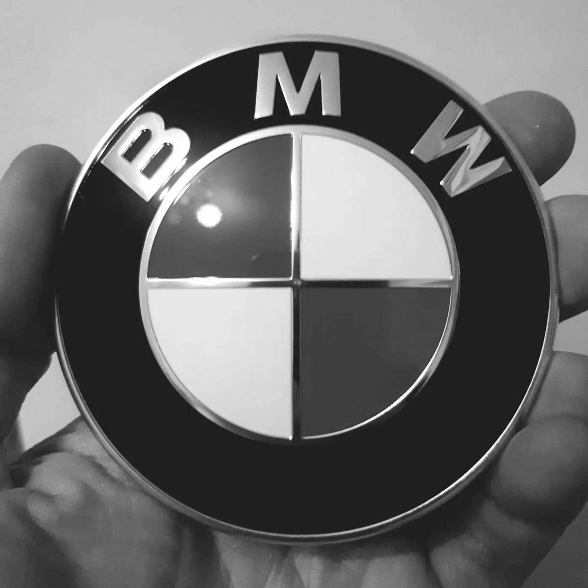 Раскраска с безупречным логотипом bmw