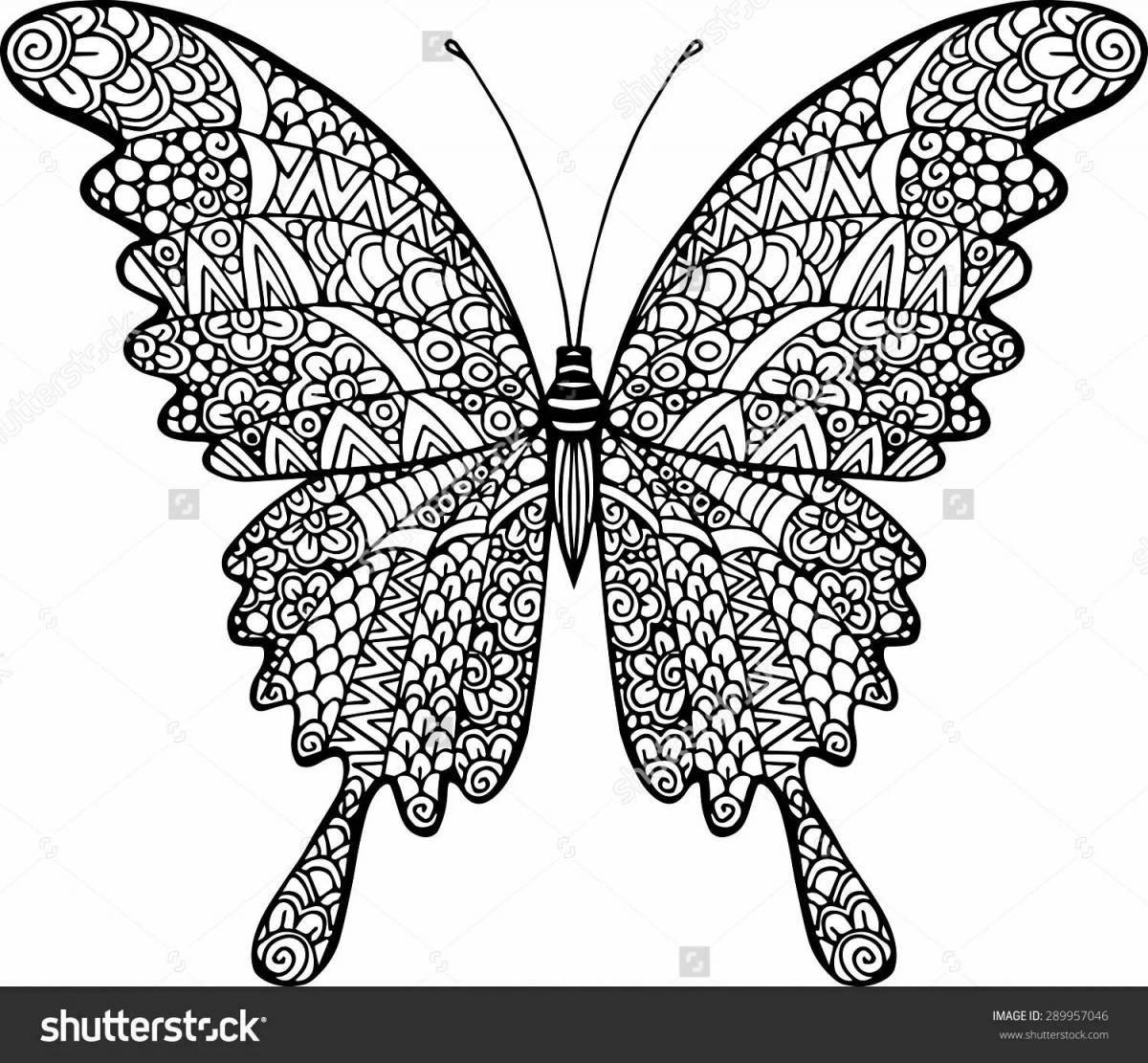 Richly pigmented butterfly coloring page