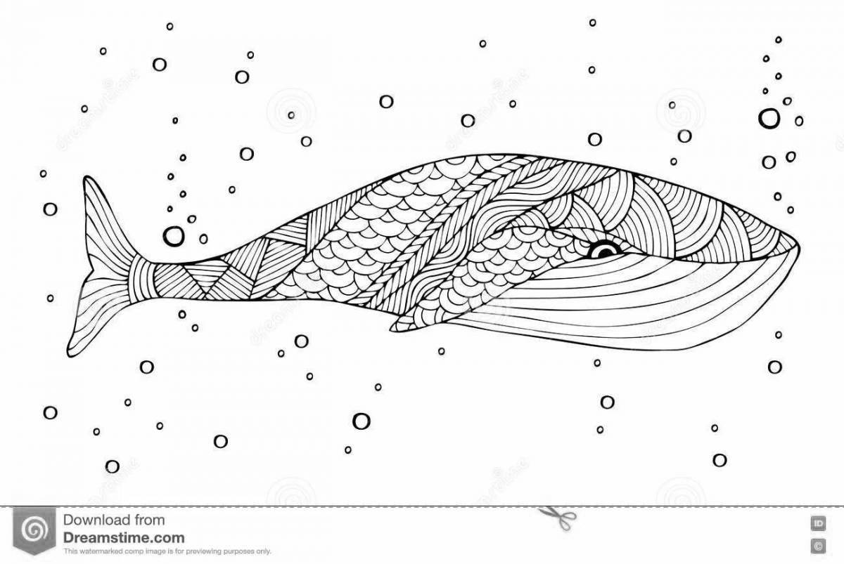 Exquisite whale fish coloring book