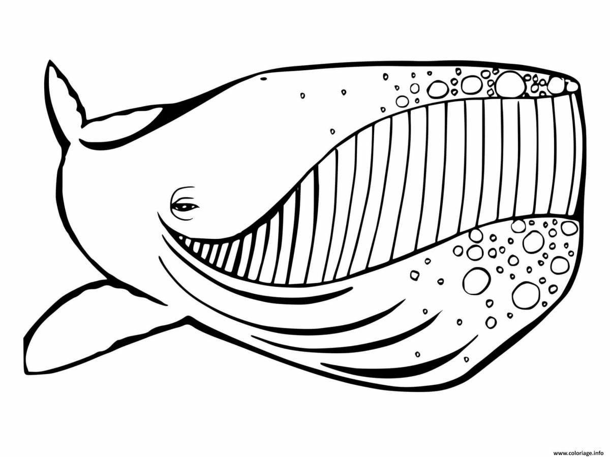 Charming whale fish coloring book
