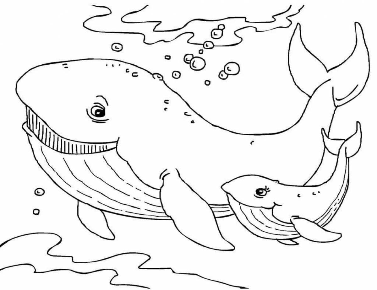 Whale fish coloring page
