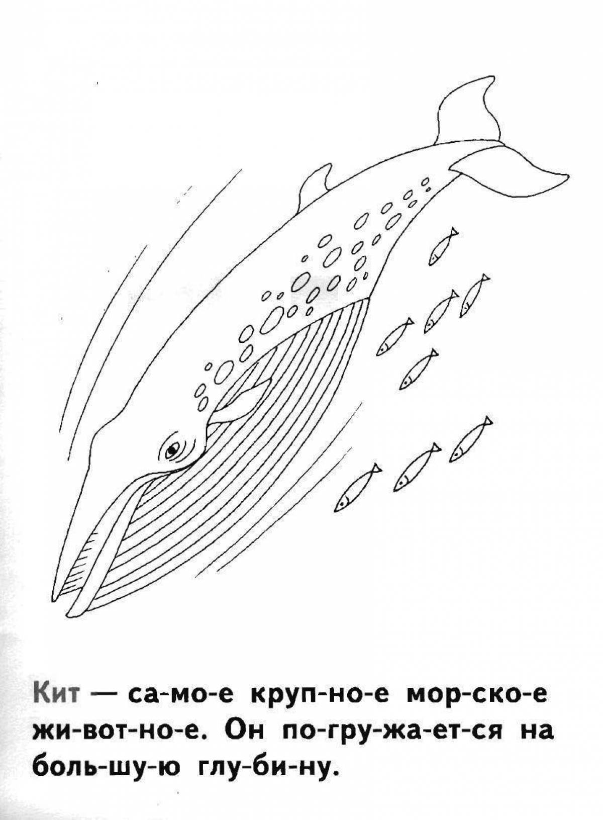 Elegant whale fish coloring book