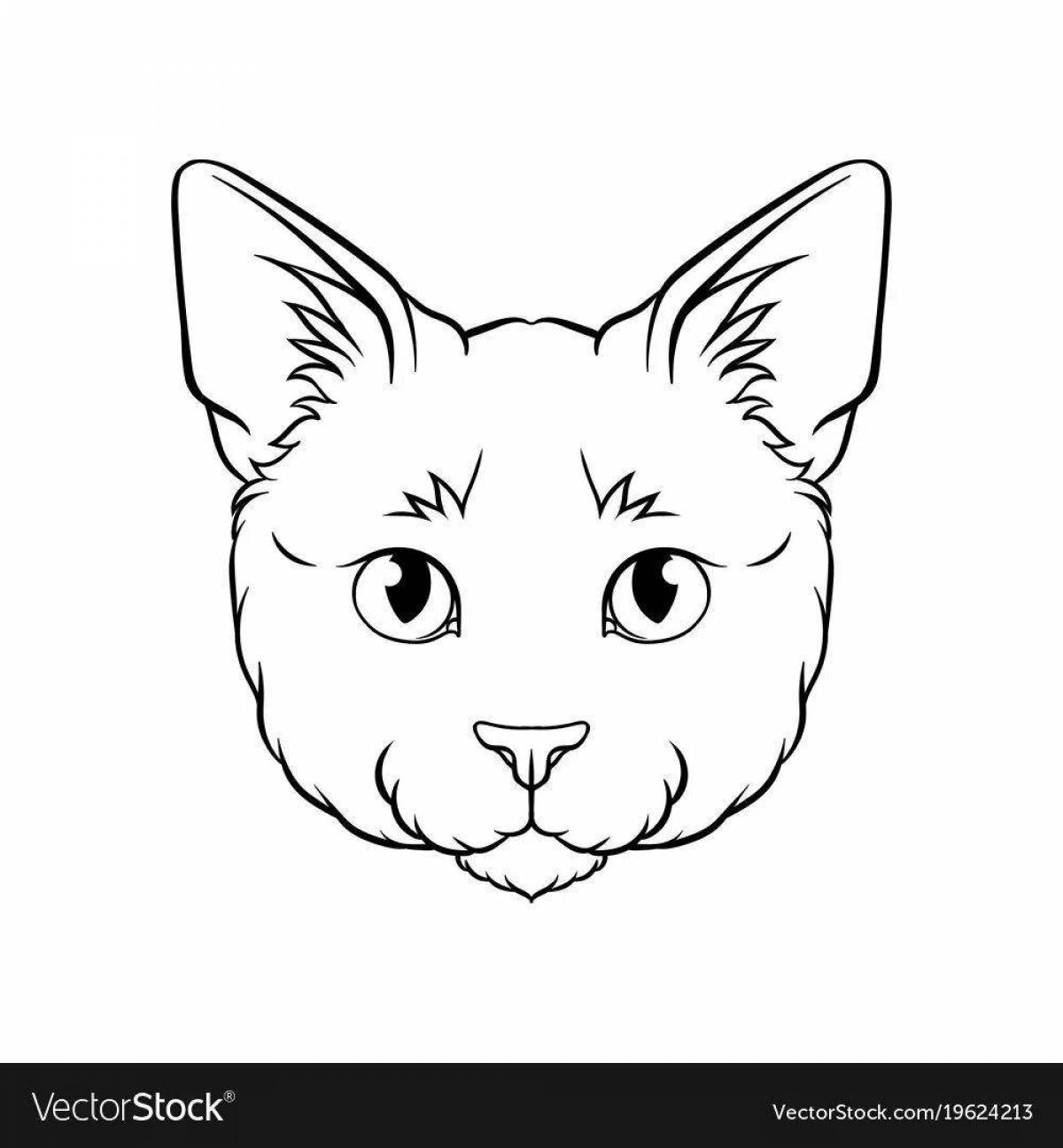 Colouring bright cat face