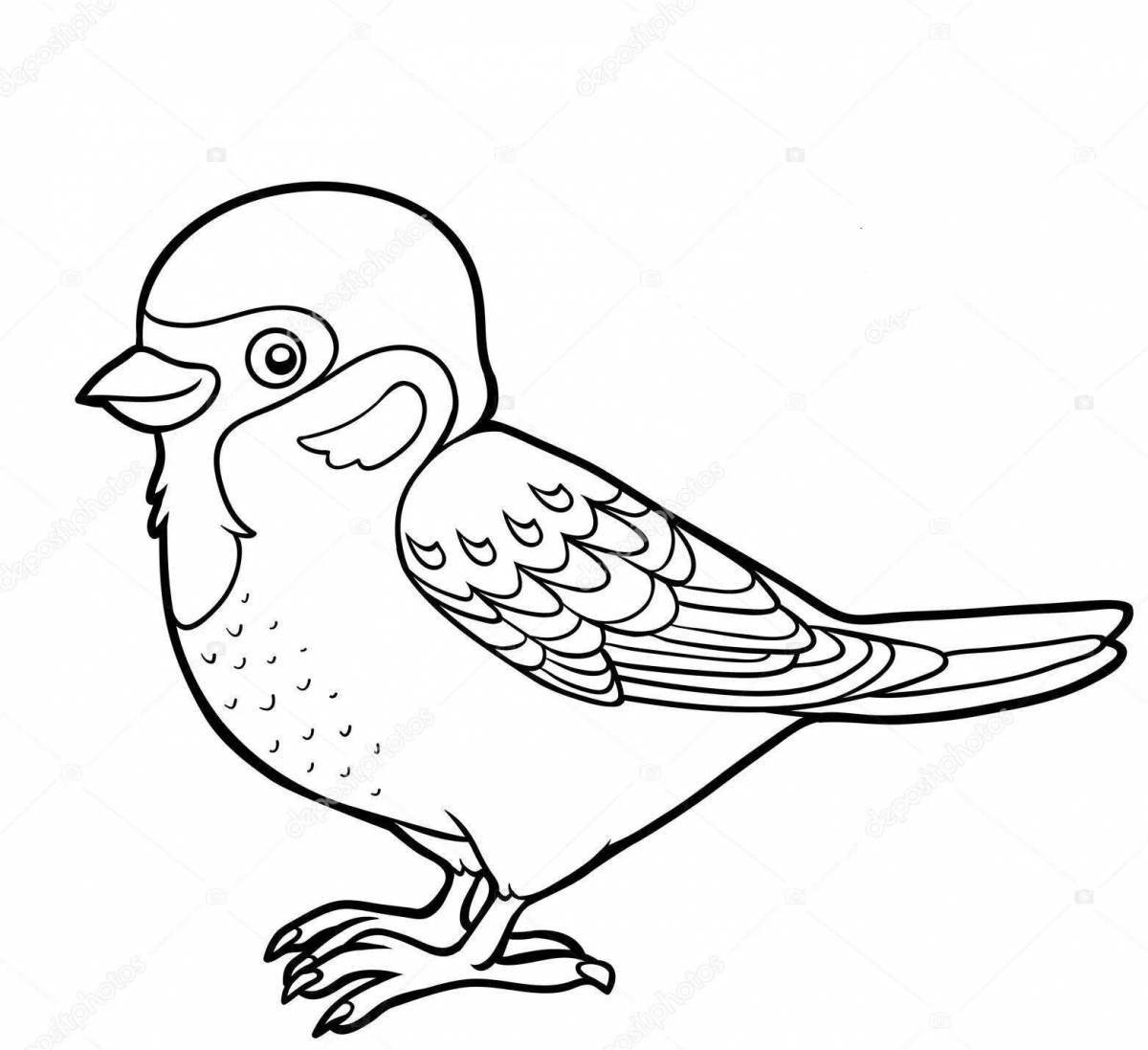 Coloring page of a brilliantly colored sparrow
