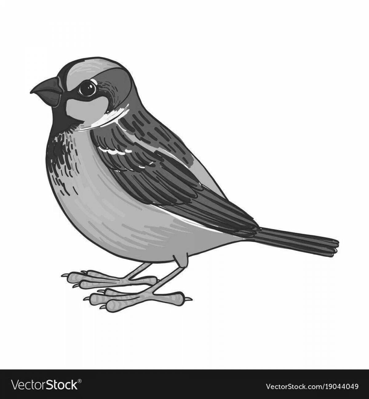Photo Coloring book brilliantly painted sparrow