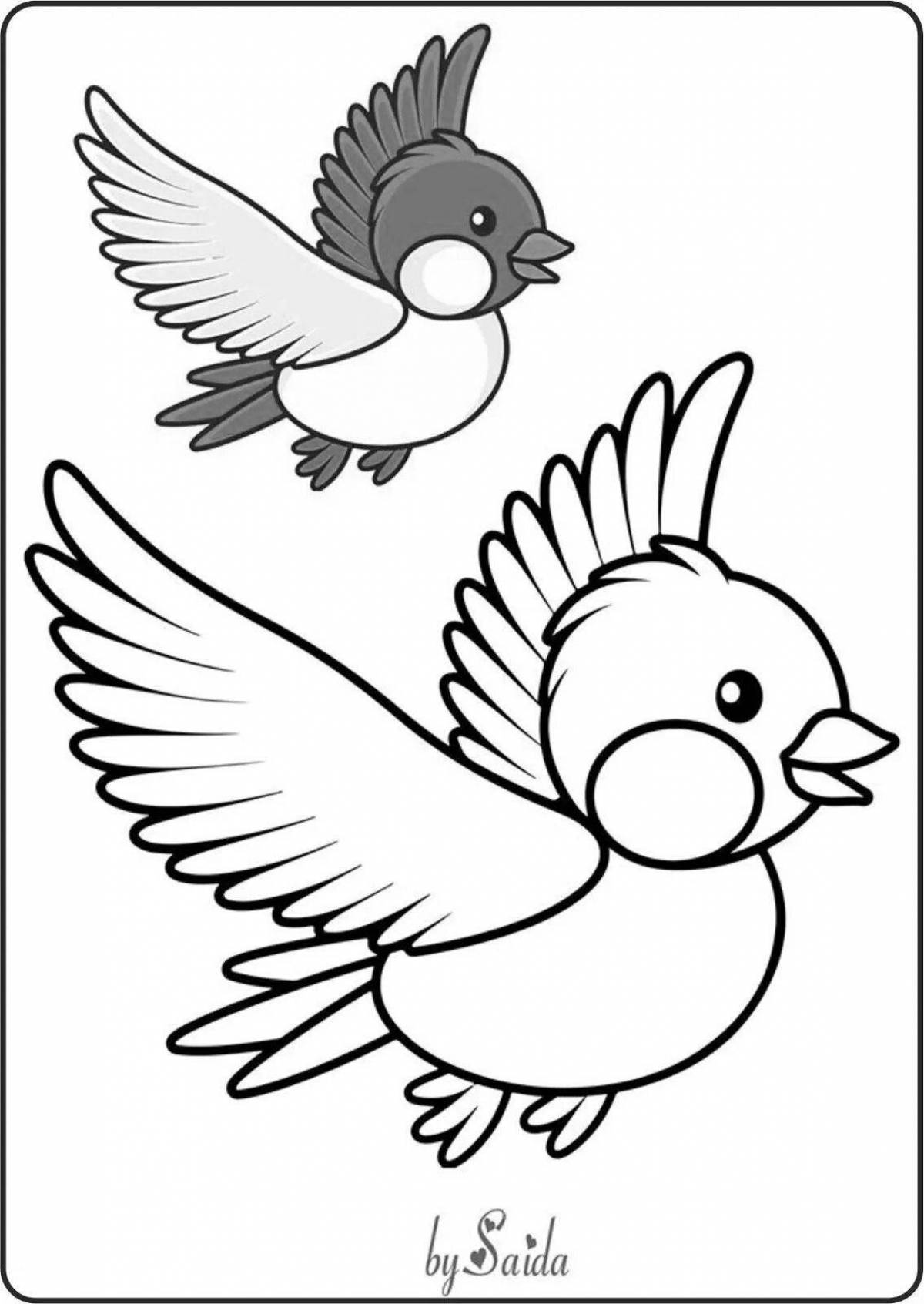 Brilliantly toned sparrow coloring book