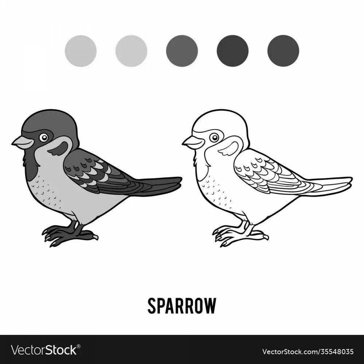 Coloring sparrow in colorful colors