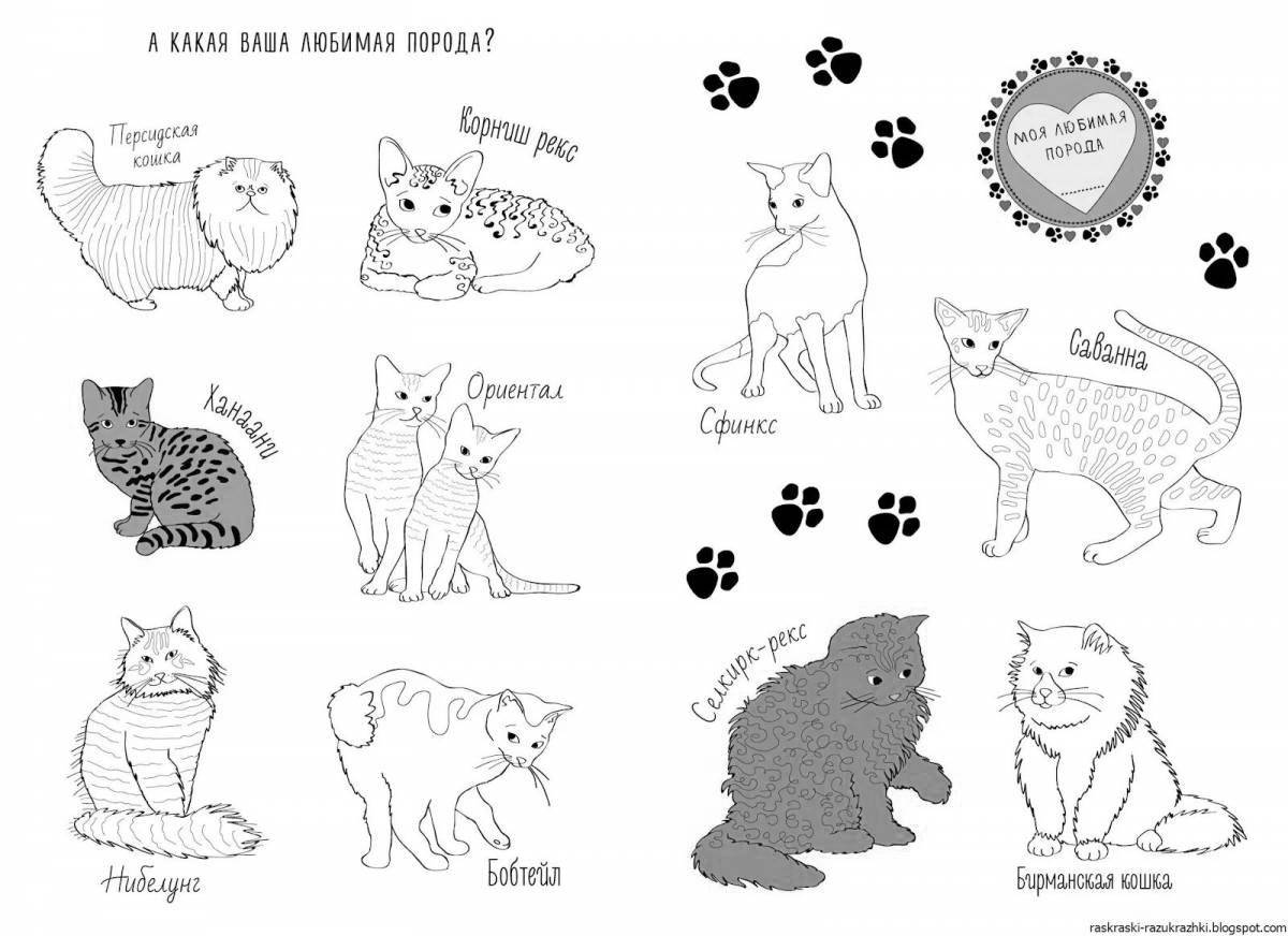 Cute cat coloring page