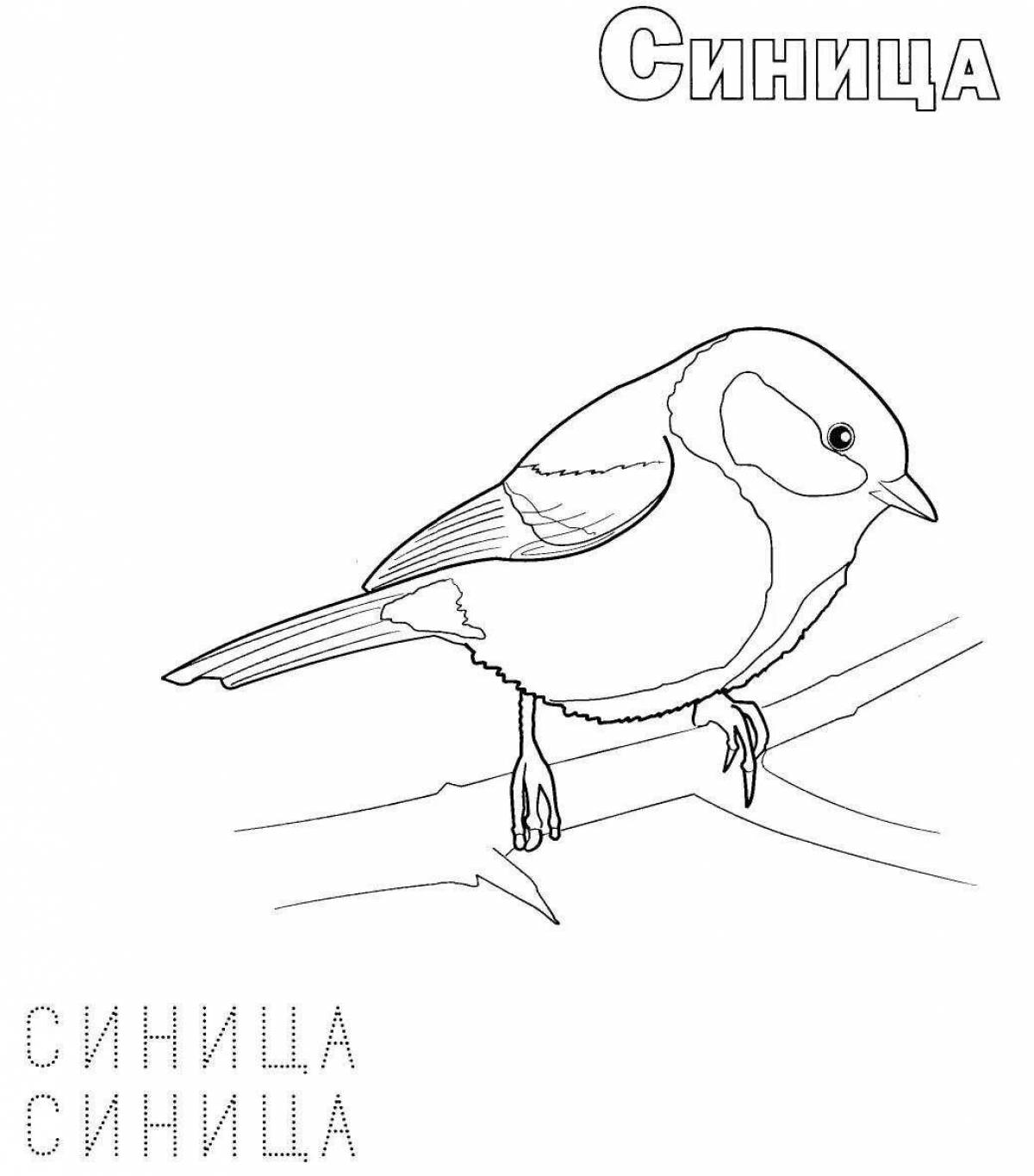 Изысканная раскраска русские зимующие птицы