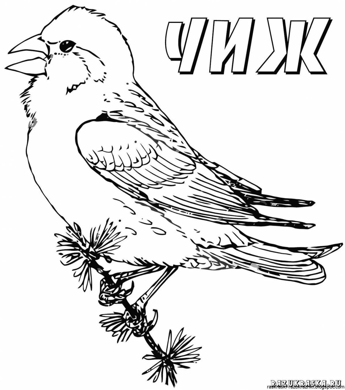 Очаровательная раскраска русские зимующие птицы