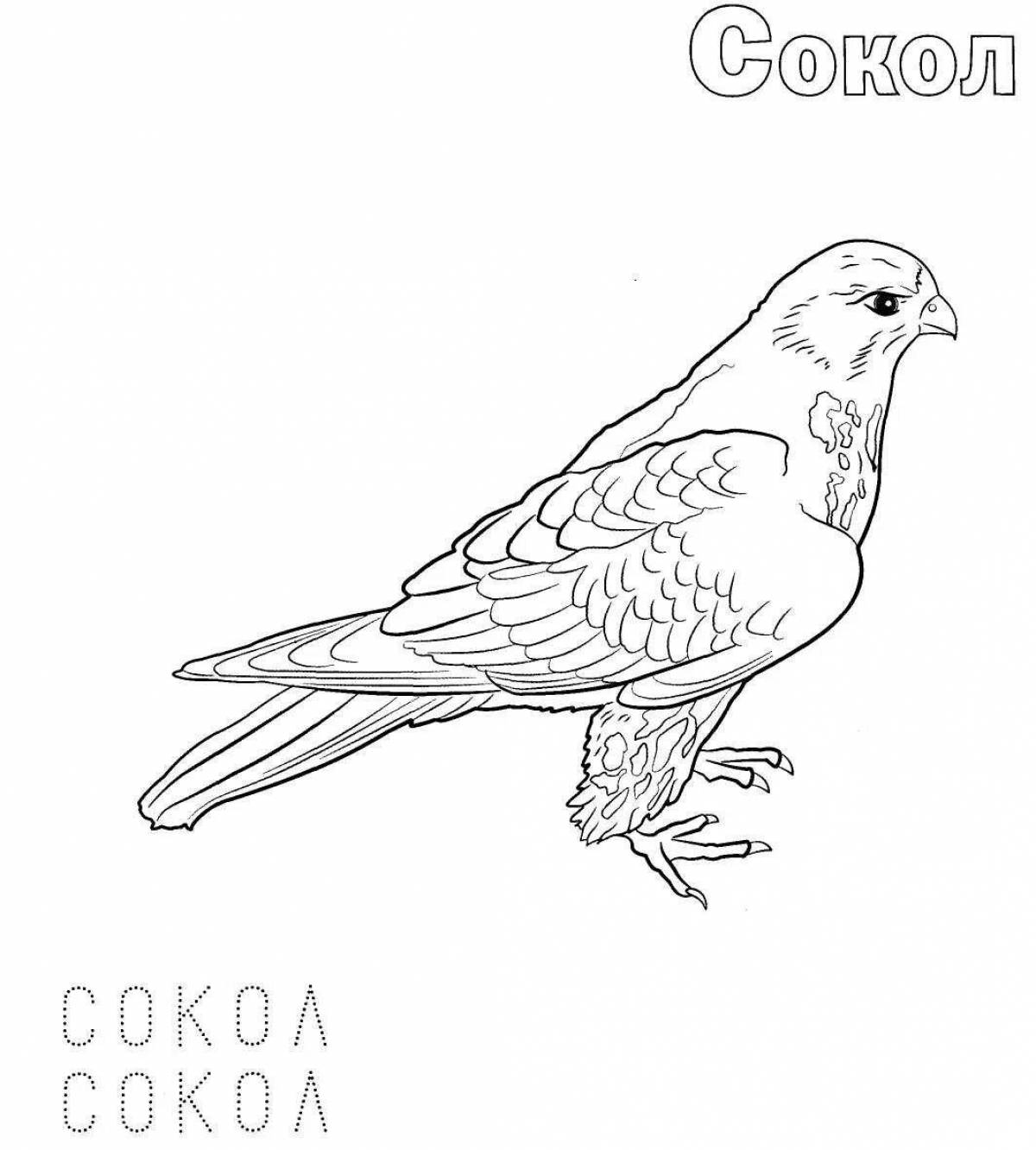 Radiant coloring page Russian wintering birds