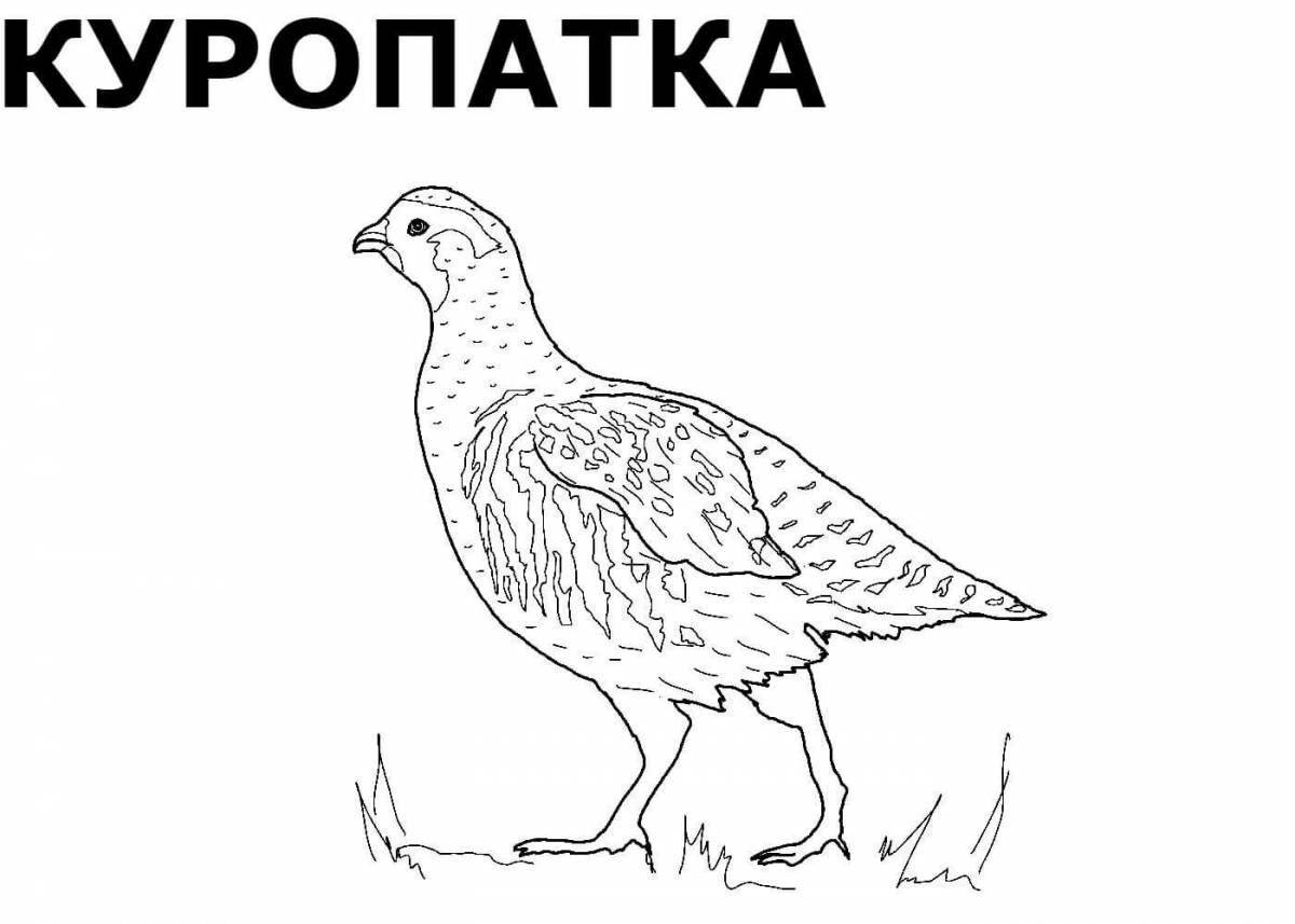 Экзотическая раскраска русские зимующие птицы