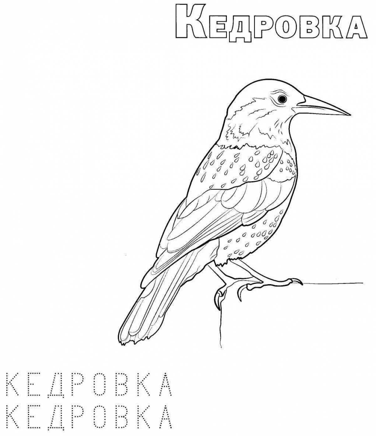 Playful coloring Russian wintering birds