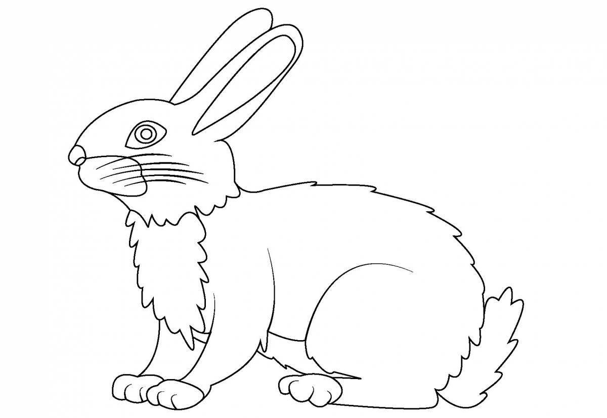 Раскраски заяц, Раскраска Раскраска для самых маленьких Дикие животные Заяц в лесу Дикие животные.