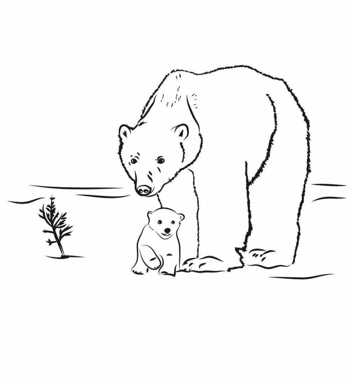 Coloring book fluffy bear and cub