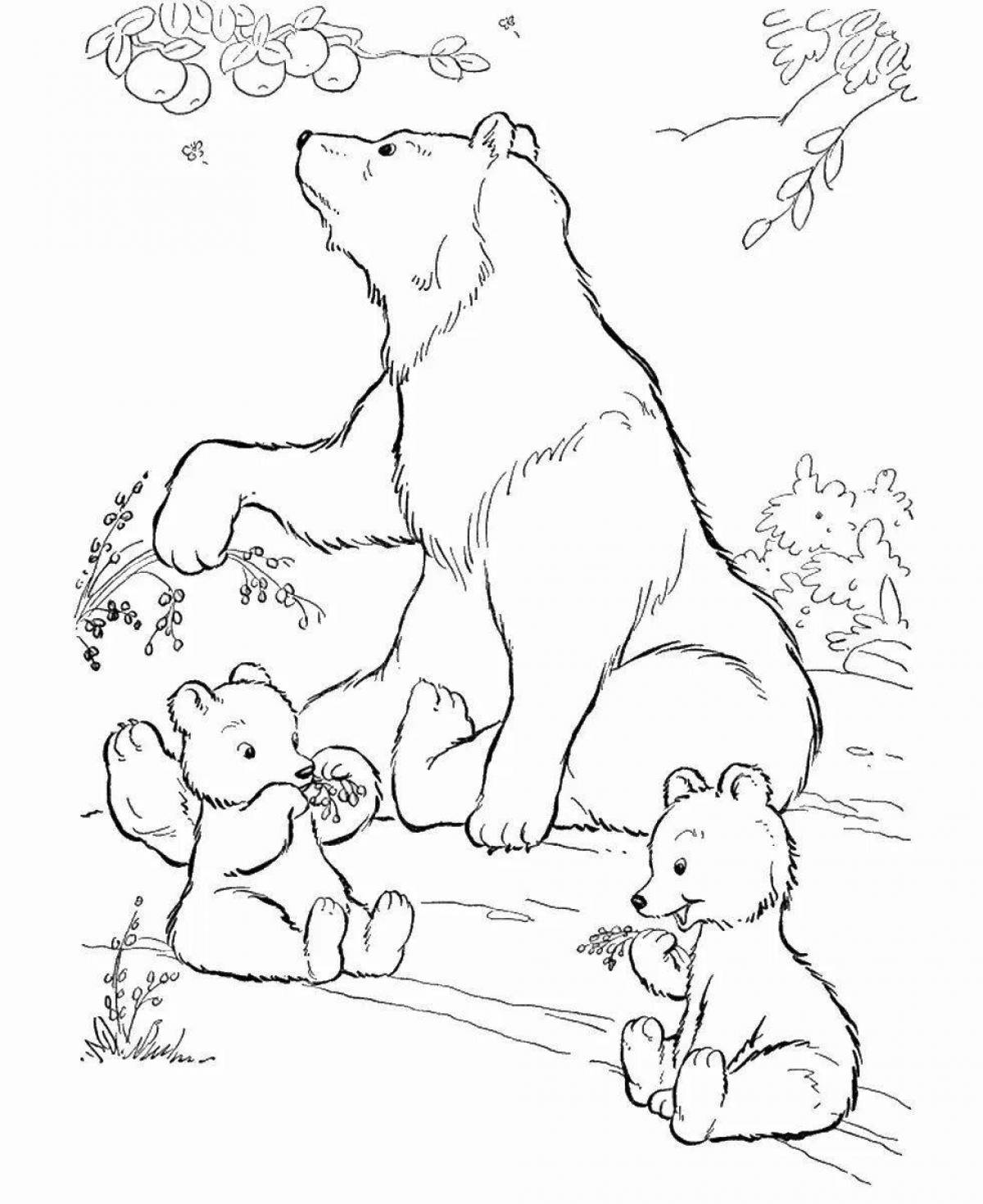 Coloring book bright bear and cub