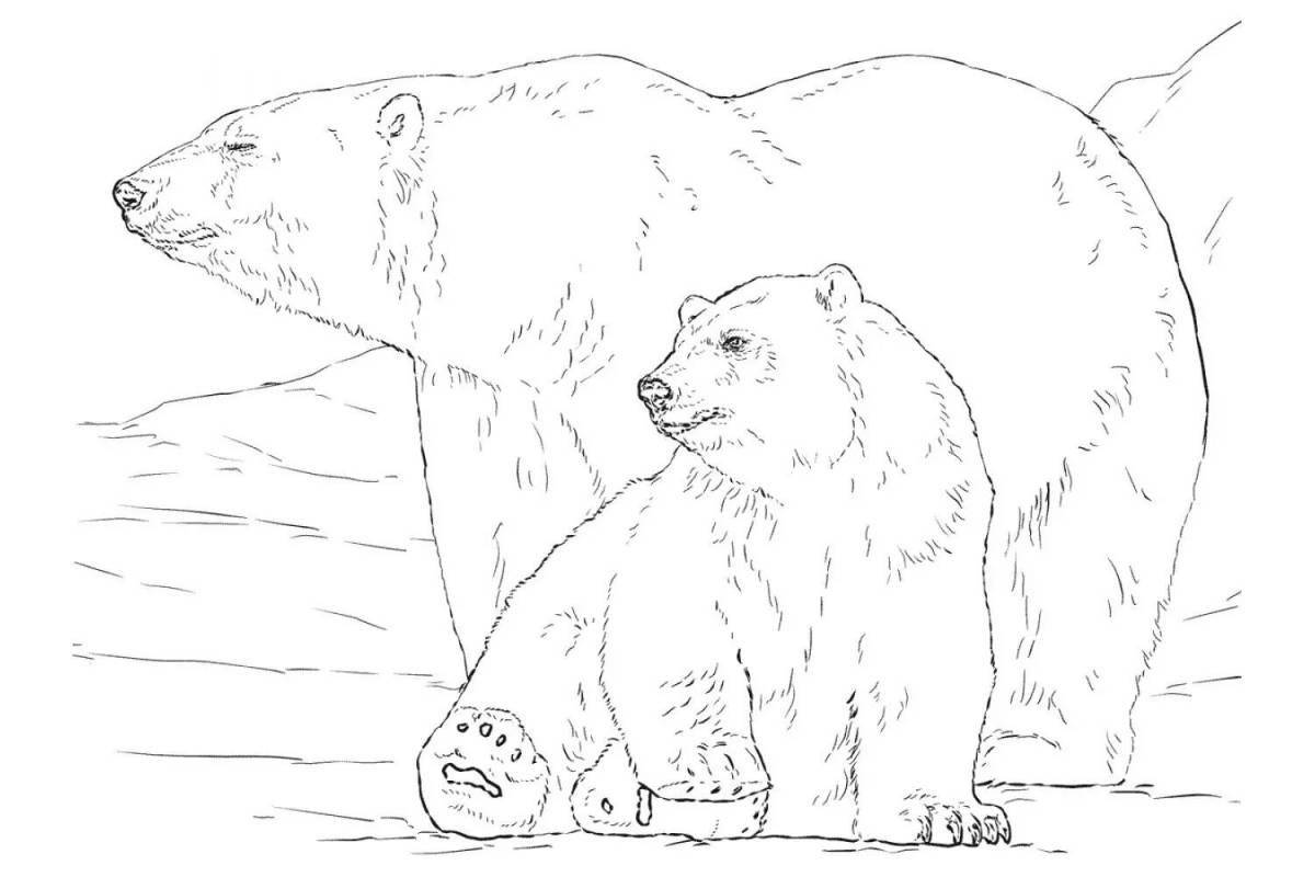 Раскраска очаровательный медведь и детеныш
