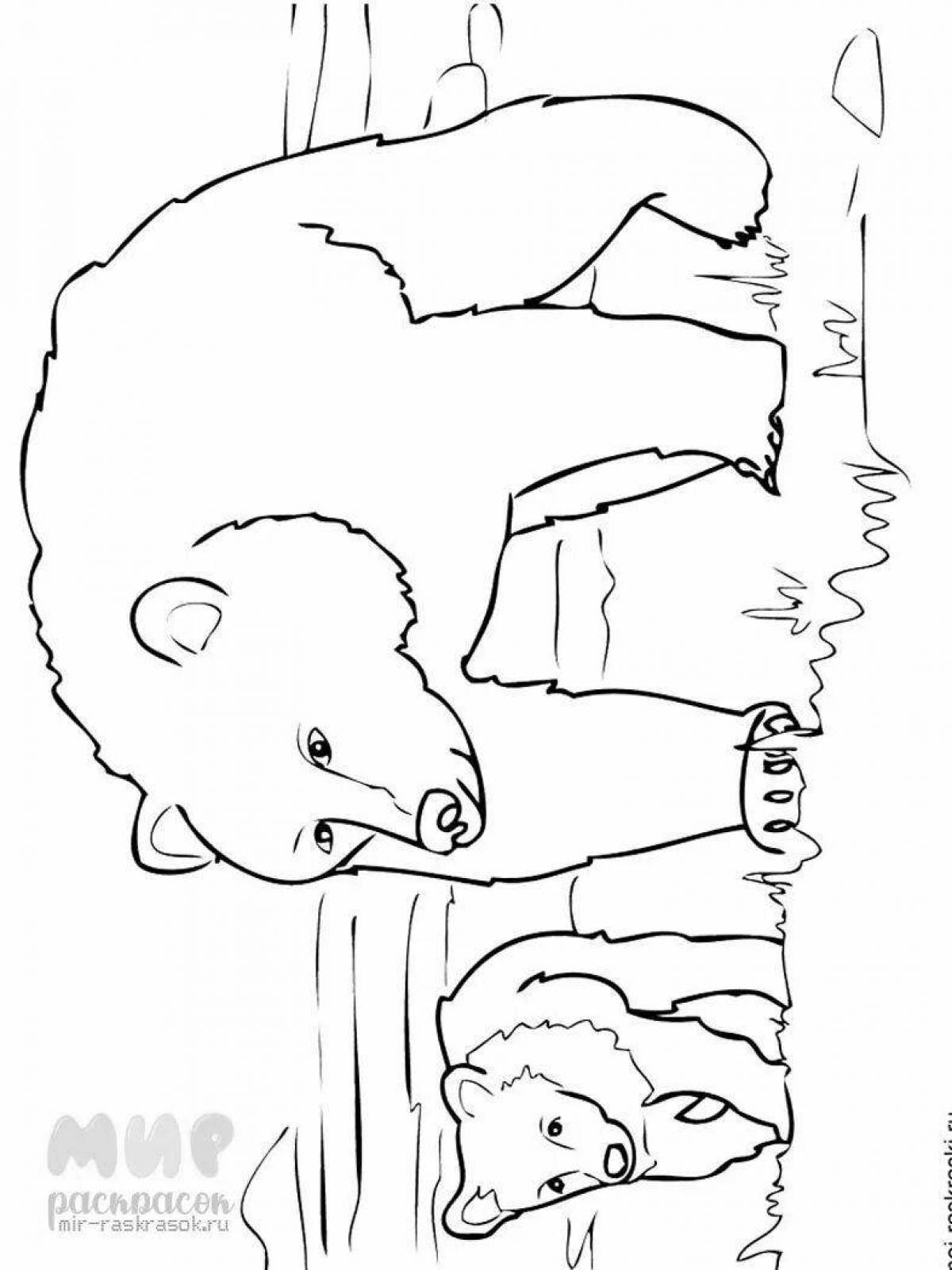 Забавный медвежонок и детёныш раскраски
