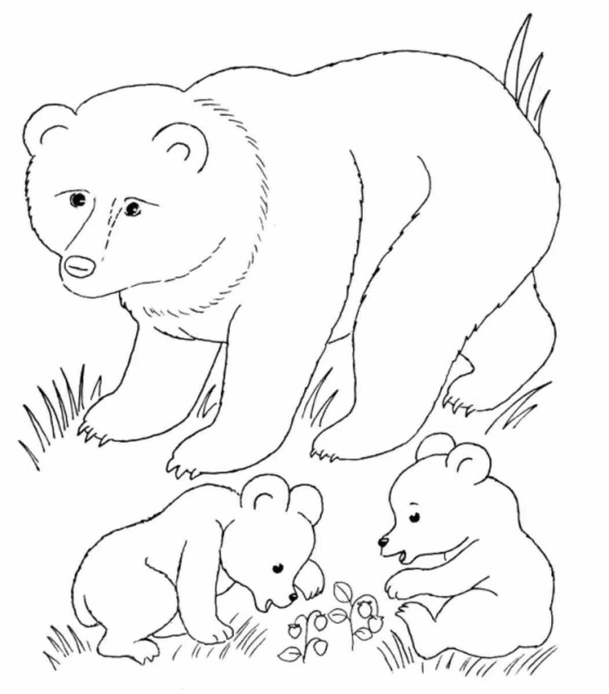 Раскраска влюбленный медвежонок и детеныш