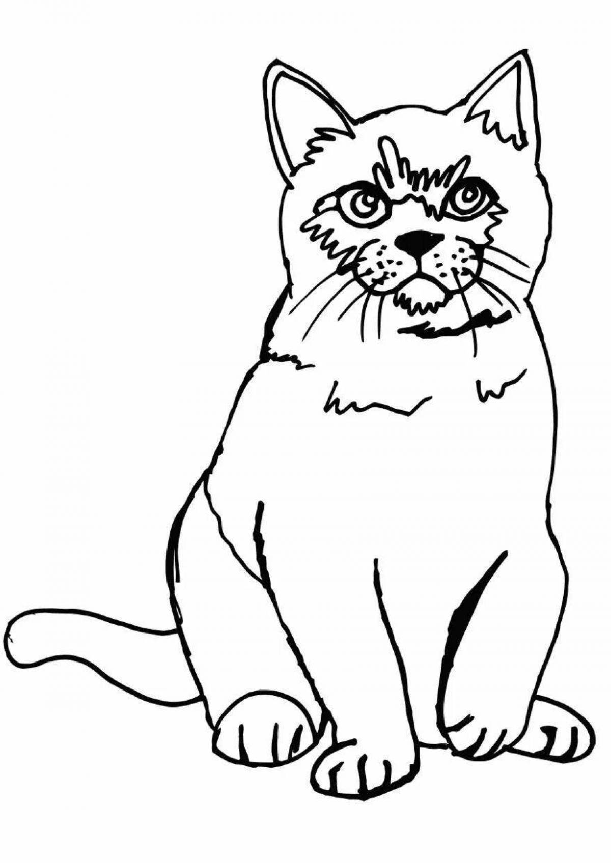 Очаровательная черно-белая раскраска кошки