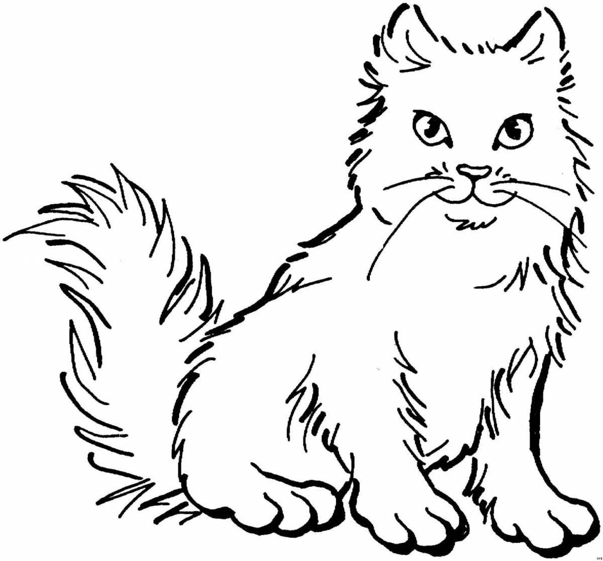 Coloring book fluffy black and white cat