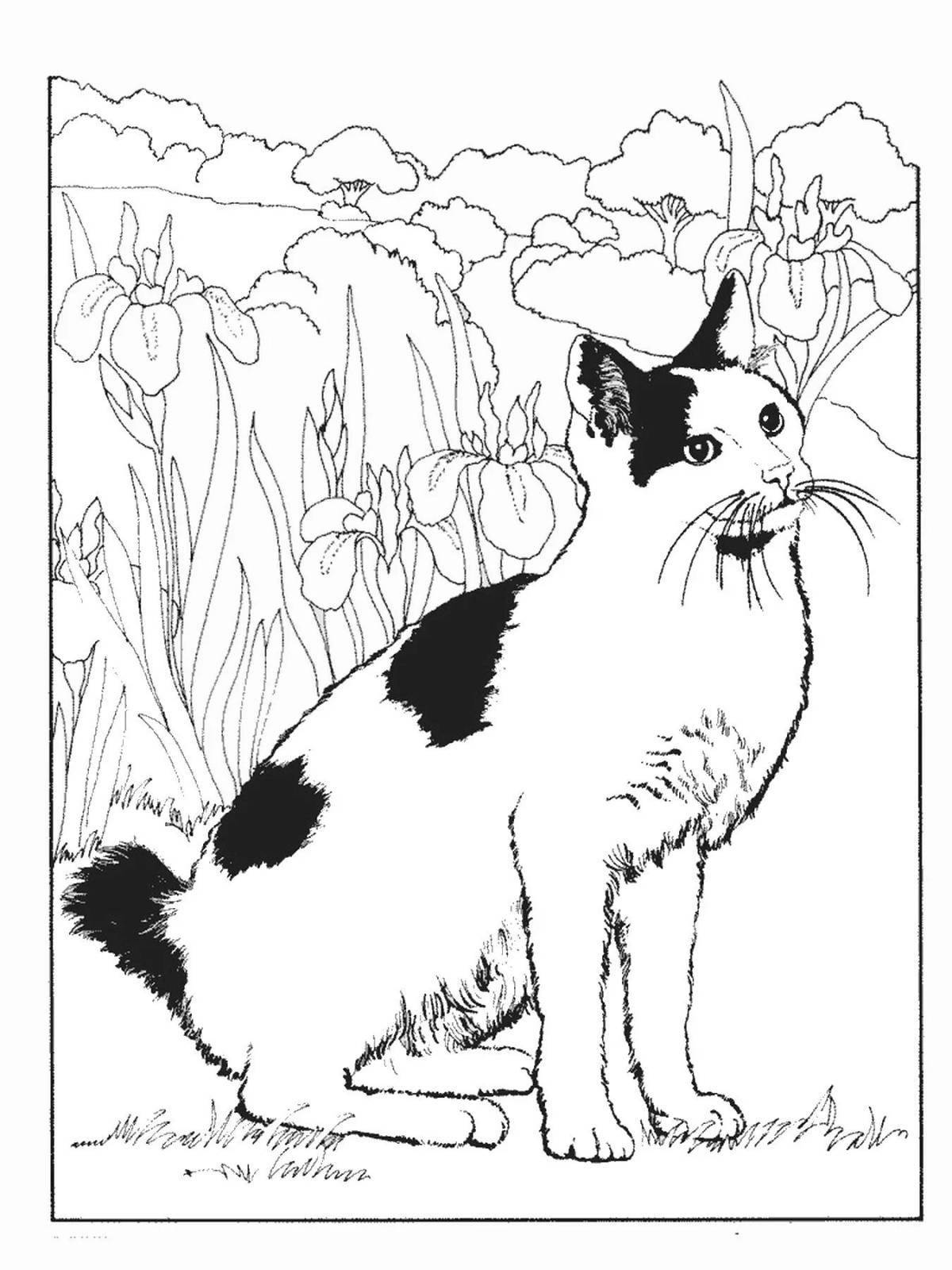 Осторожно, черно-белая раскраска кота