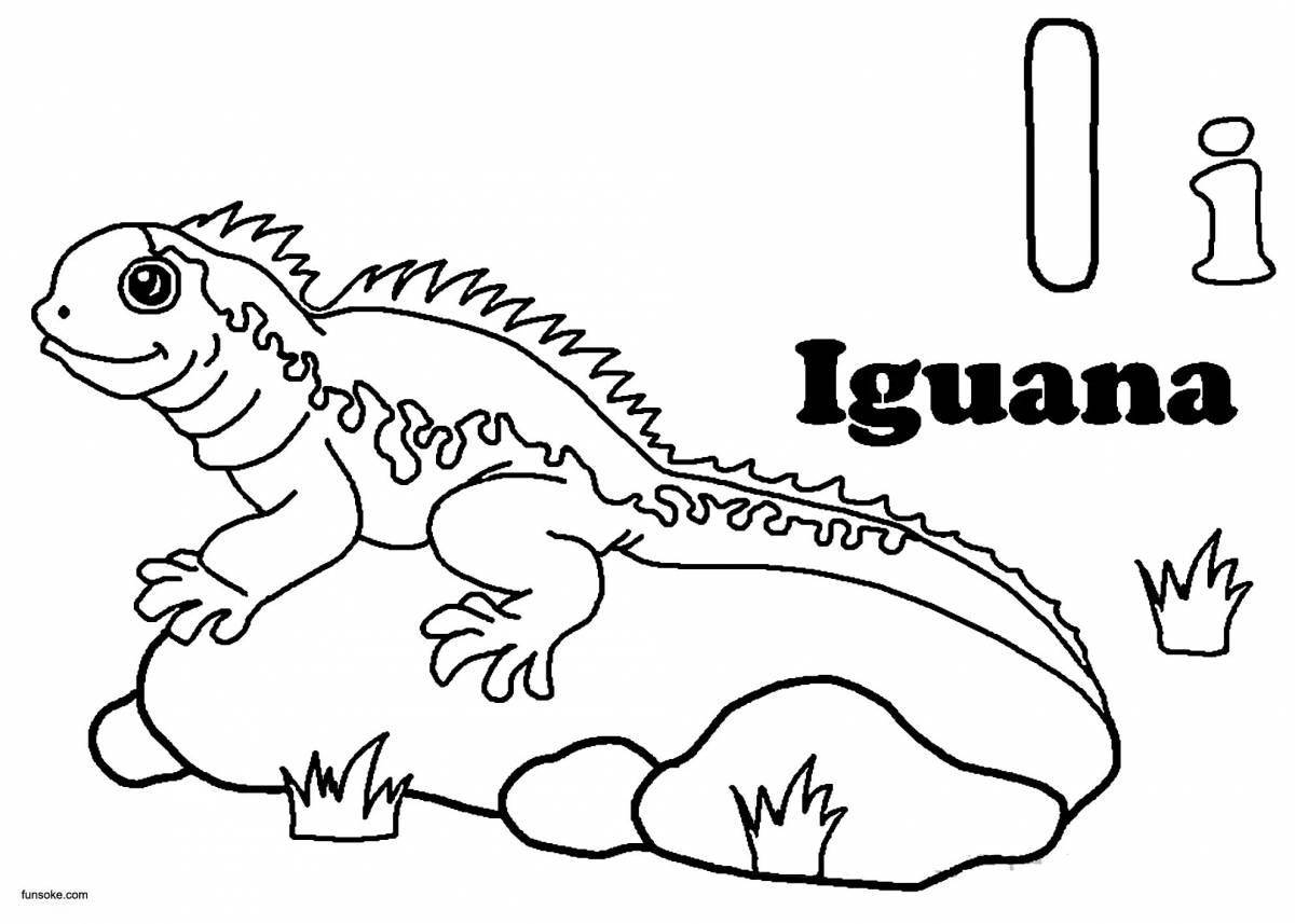 Colorful iguana coloring book for kids
