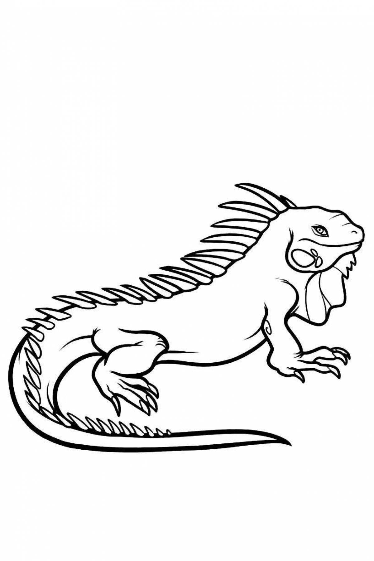 Bright iguana coloring book for kids