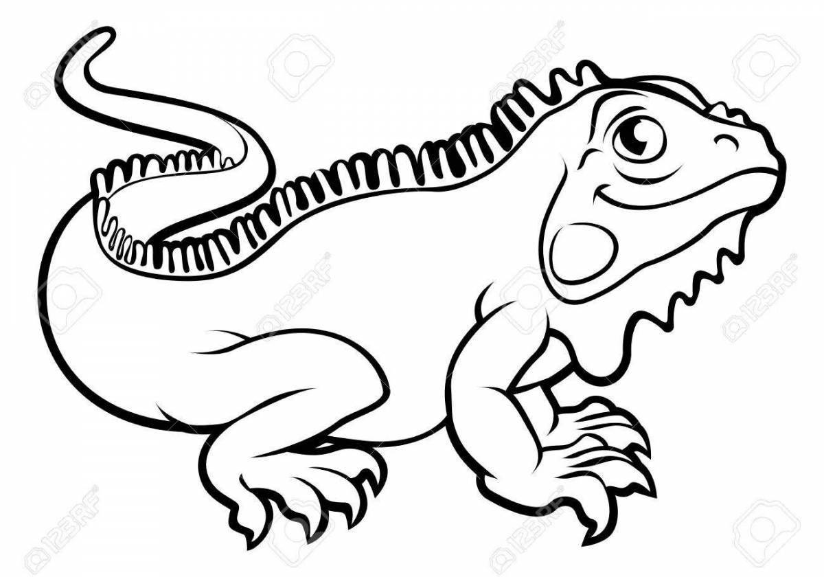 Fun iguana coloring book for kids