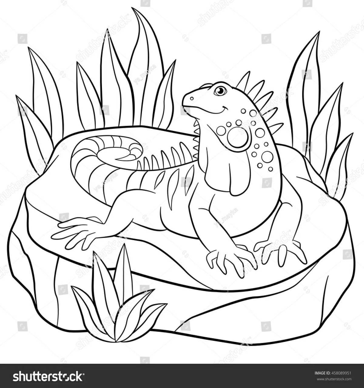 Creative iguana coloring book for kids