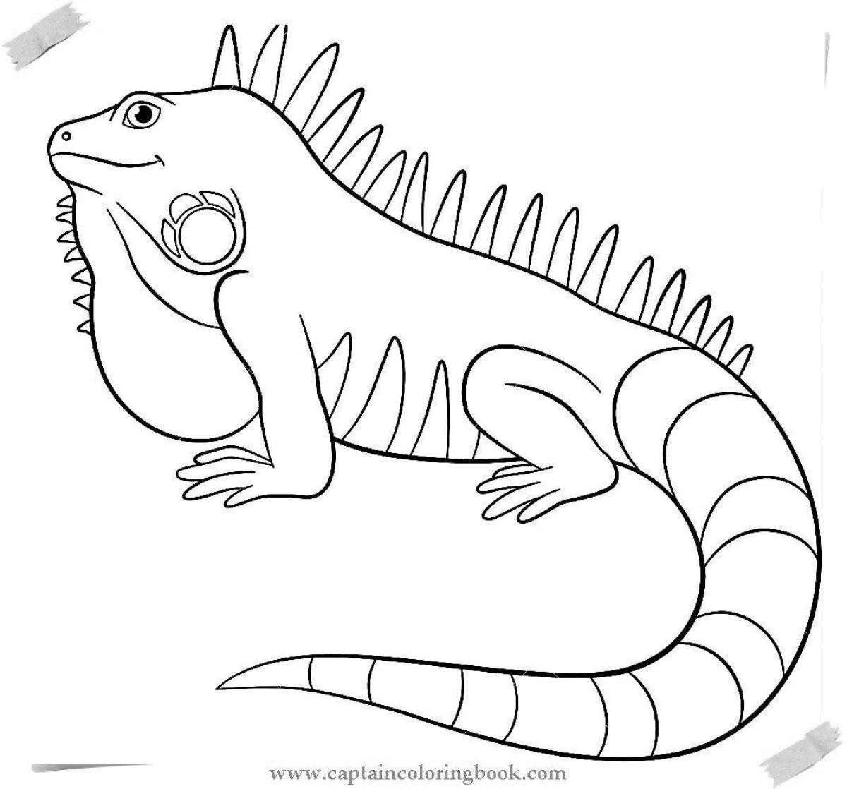 Outstanding iguana coloring page for kids