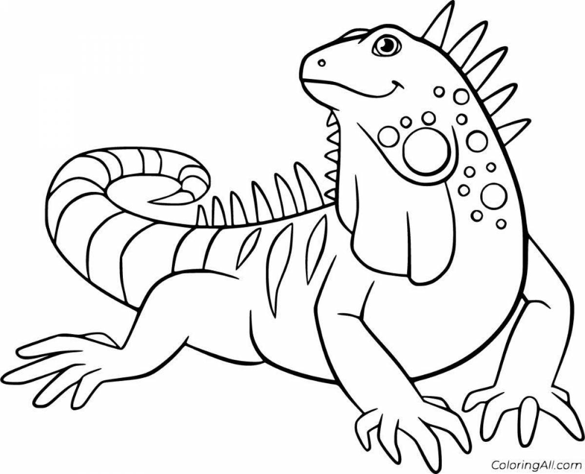 Live iguana coloring book for kids