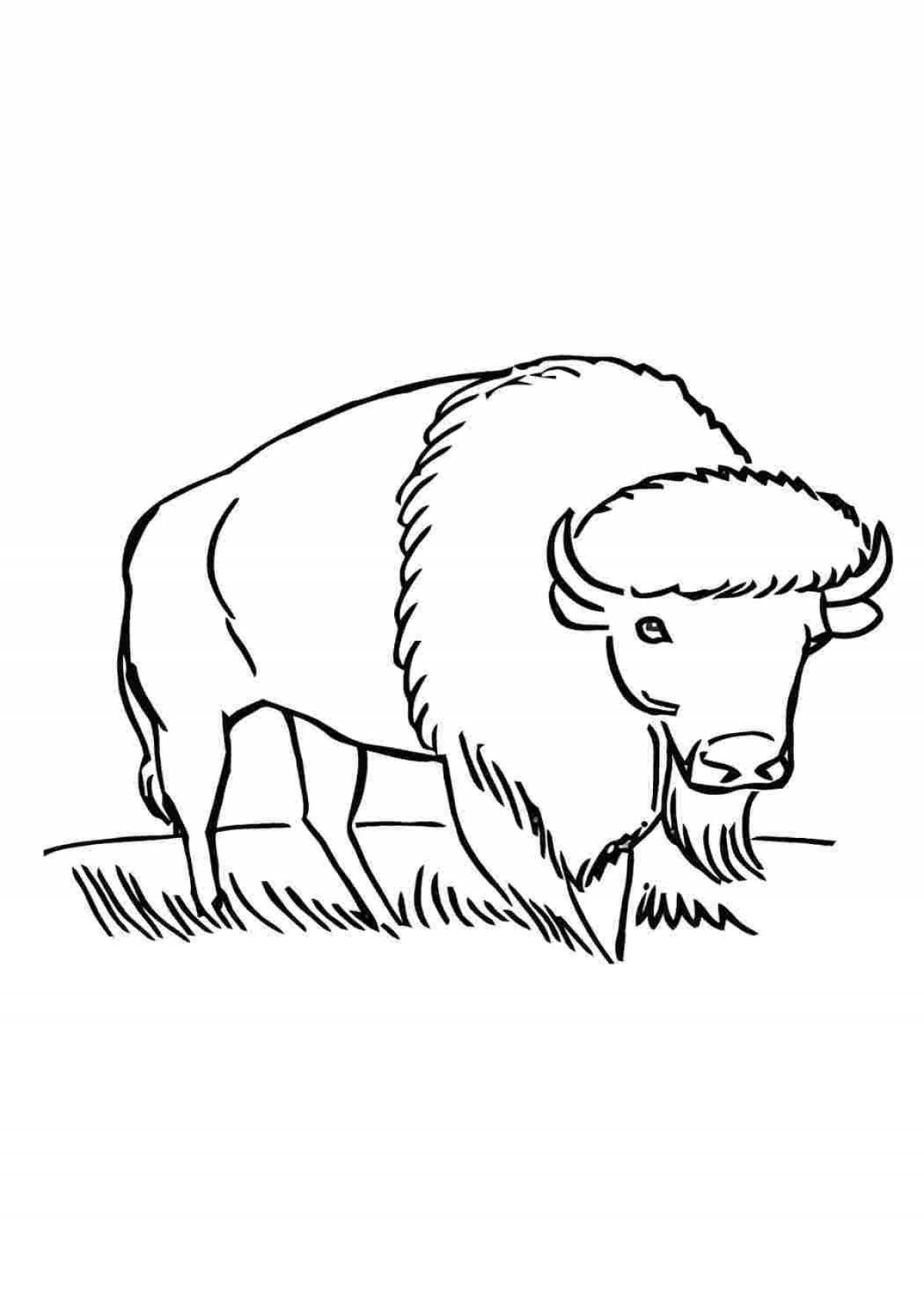 Яркая страница раскраски бизонов