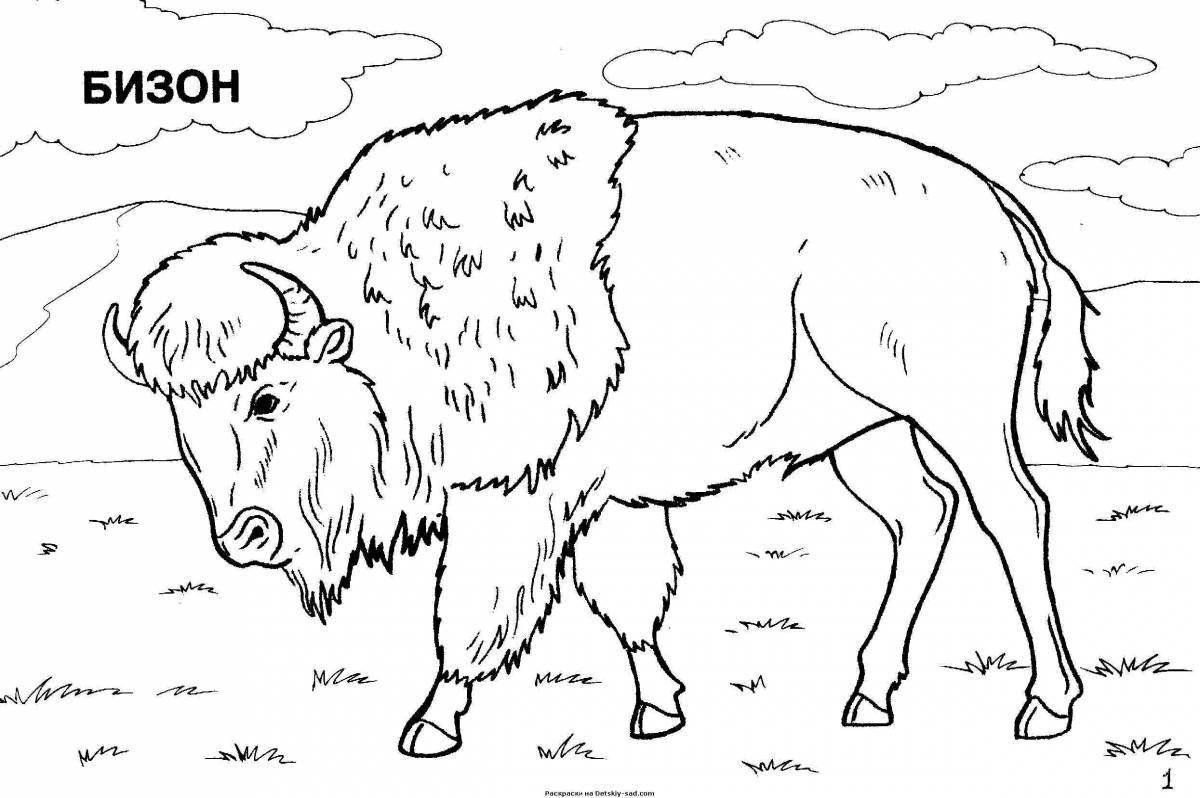Coloring book shiny bison