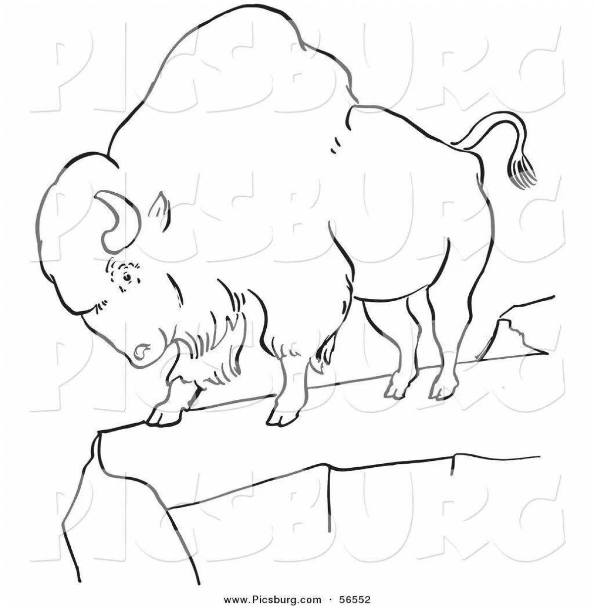 Exquisite bison coloring book