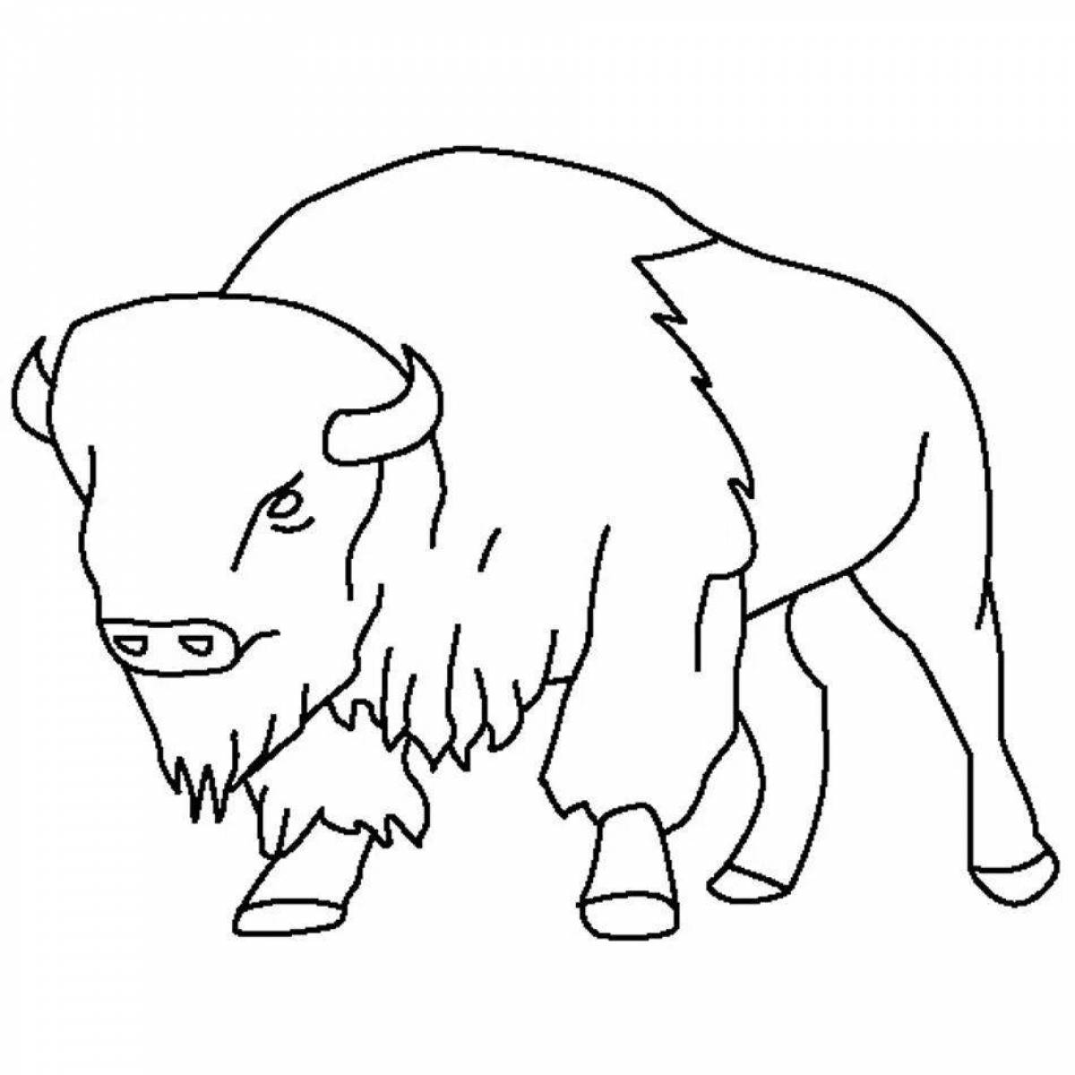 King coloring bison