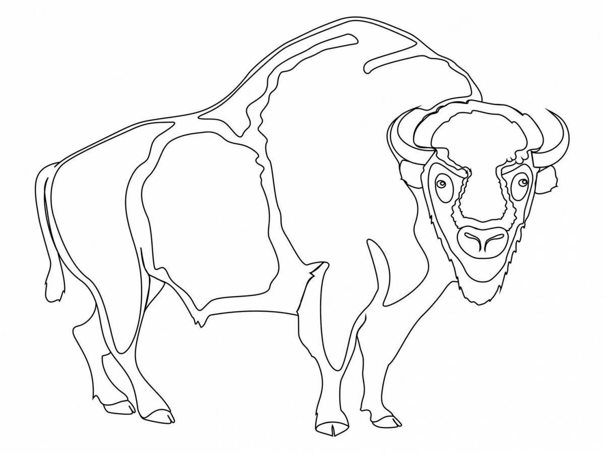 Coloring book luxury bison